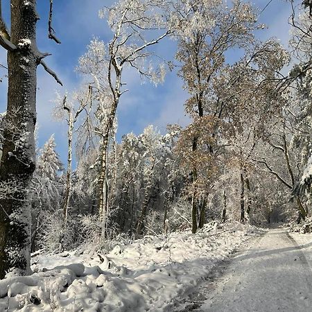 Haus Astenblick In Winterberg Fuer Bis Zu 35 Personen Fuer Wanderveranstaltungen Und Familienfeiern Exterior foto