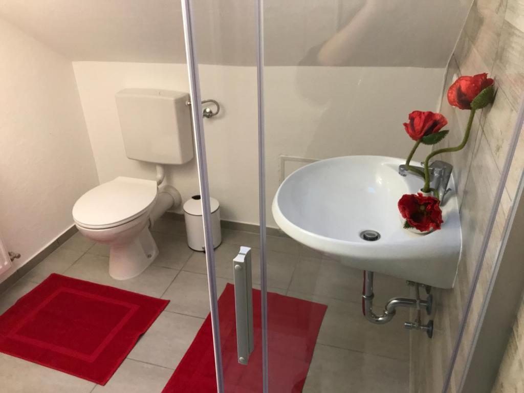 Haus Astenblick In Winterberg Fuer Bis Zu 35 Personen Fuer Wanderveranstaltungen Und Familienfeiern Exterior foto